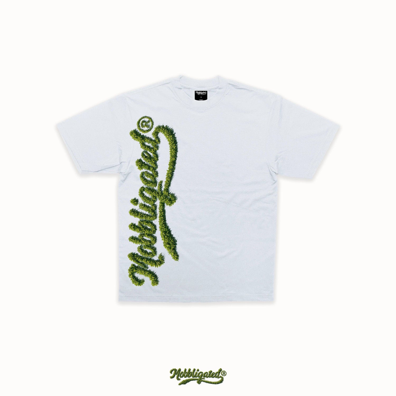 Palm Tree Collection